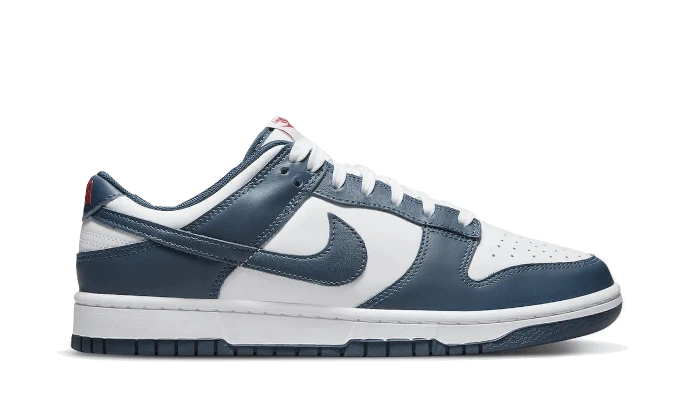 Nike Dunk Low Valerian Blue