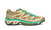 Salomon XT-6 Dried Herb